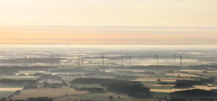 Mittsommernachtsfliegen